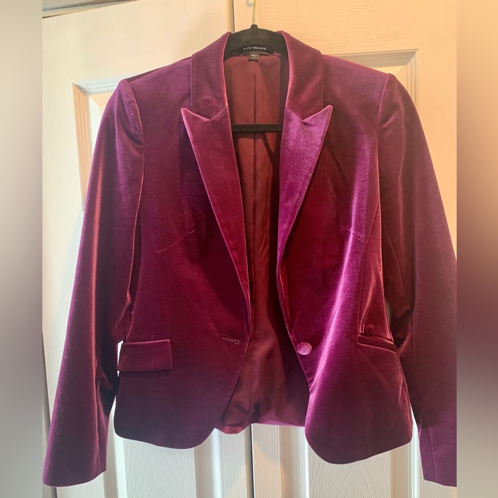 Express Velvet Stretch Blazer - Sz. 6 - Worn Once, Freshly Dry Cleaned